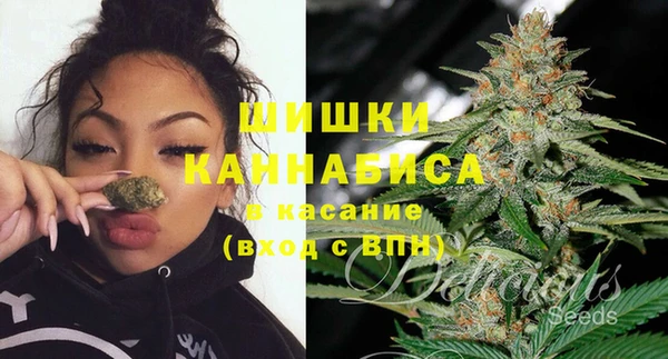 винт Арсеньев