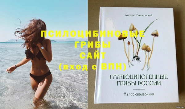 таблы Армянск