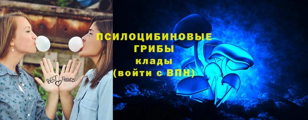 твердый Аркадак