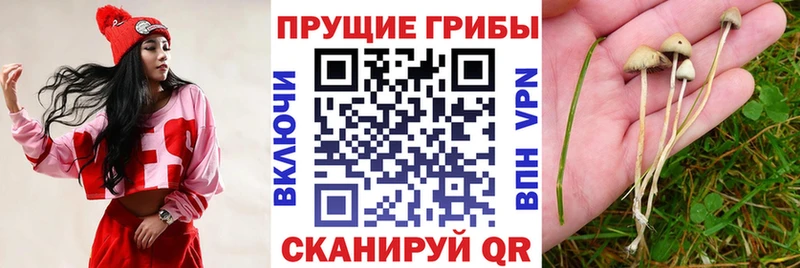 Галлюциногенные грибы Magic Shrooms  Сенгилей 